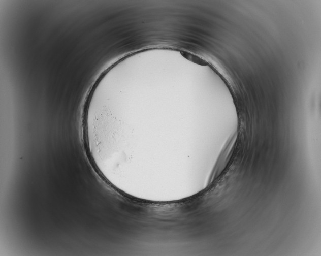 X0000096401143200802211158