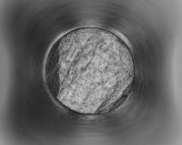 X0000096401144200802211158