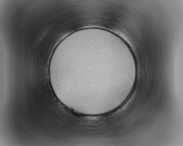 X0000096401145200802211158