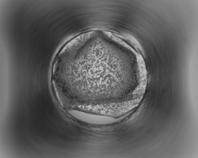 X0000096401146200802211158