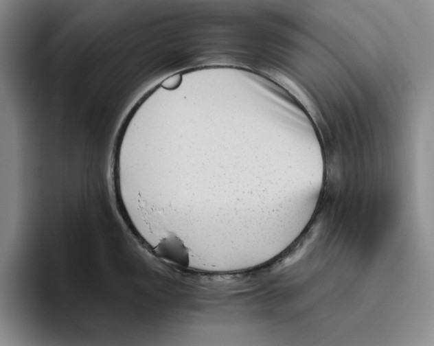 X0000096401149200802211158