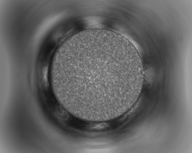 X0000096401150200802211158