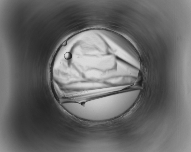 X0000096401151200802211158