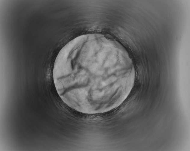 X0000096401154200802211157