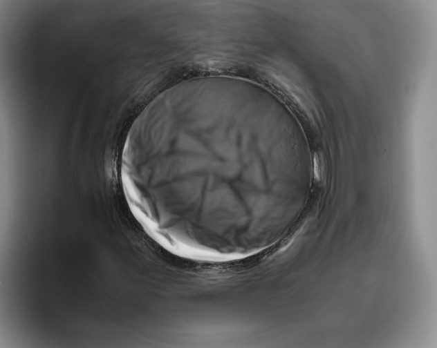 X0000096401155200802211157