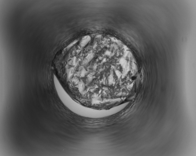 X0000096401156200802211157