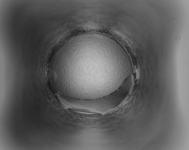 X0000096401157200802211157