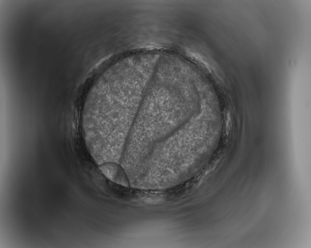 X0000096401158200802211157