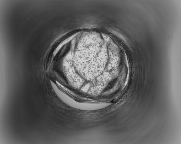 X0000096401160200802211157