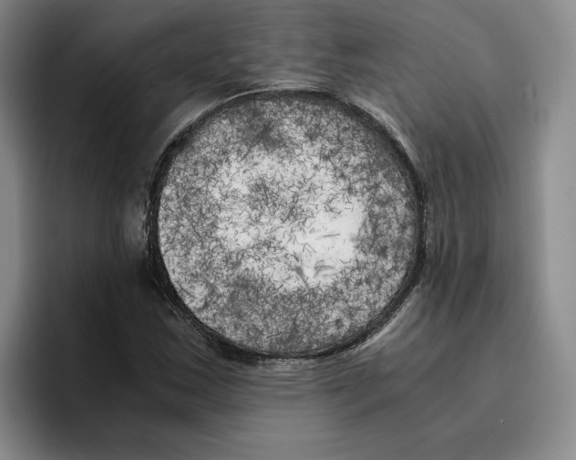 X0000096401163200802211157
