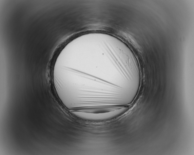 X0000096401164200802211157