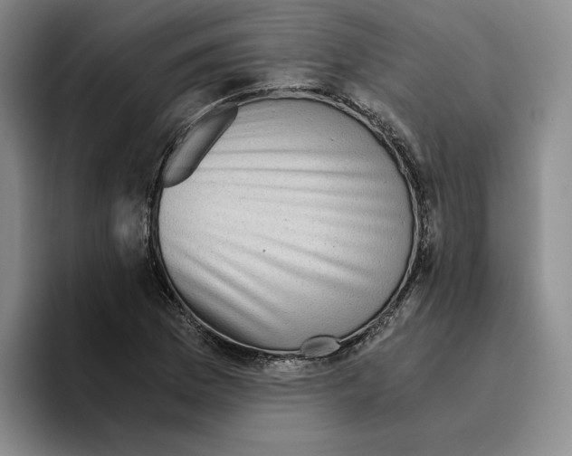 X0000096401169200802211157