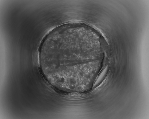 X0000096401171200802211157