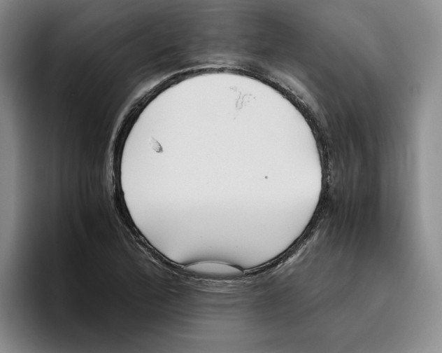 X0000096401172200802211157