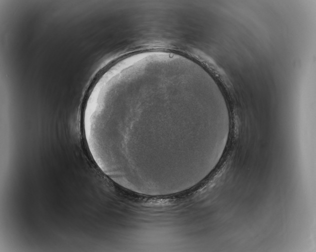 X0000096401174200802211157