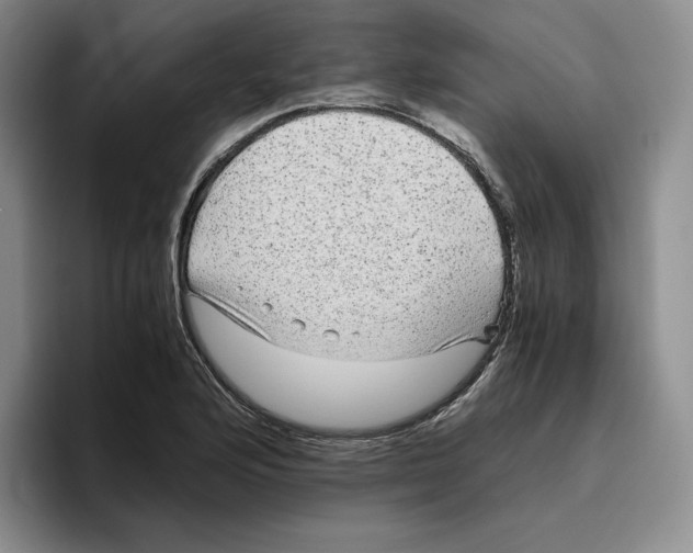 X0000096401176200802211157