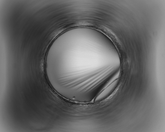 X0000096401177200802211157