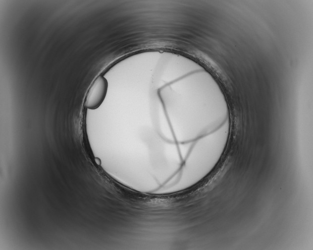 X0000096401178200802211157