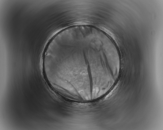 X0000096401179200802211157