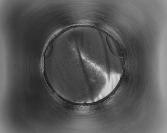 X0000096401180200802211157