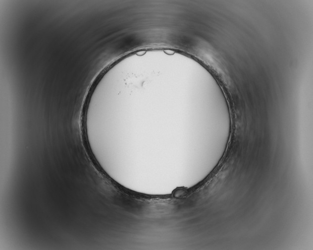 X0000096401181200802211157