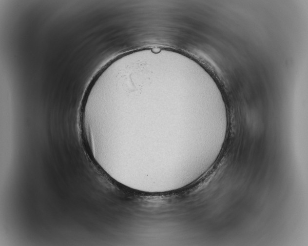 X0000096401182200802211157