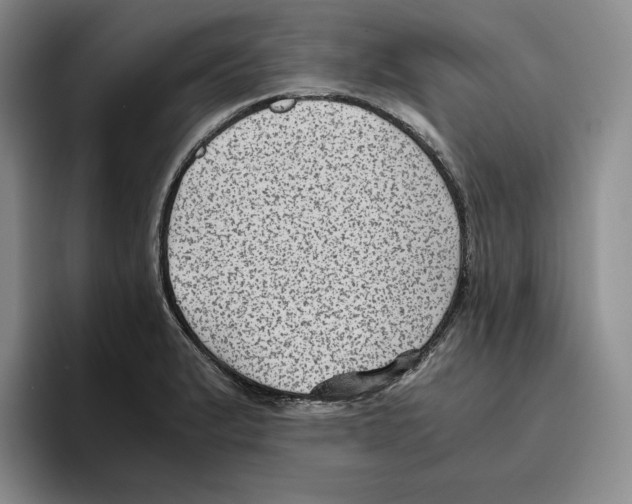 X0000096401183200802211157