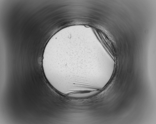 X0000096401185200802211157