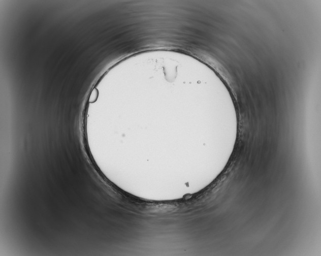 X0000096401187200802211157