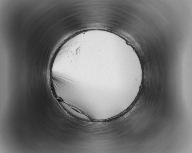 X0000096401188200802211157