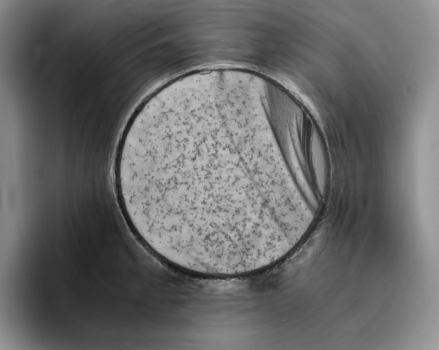 X0000096401189200802211157