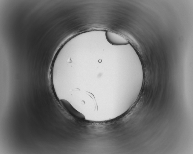 X0000096401190200802211157