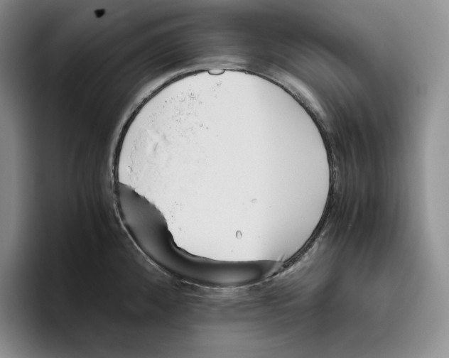 X0000096401192200802211157