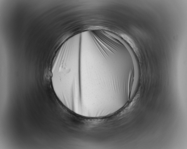 X0000096401193200802211157