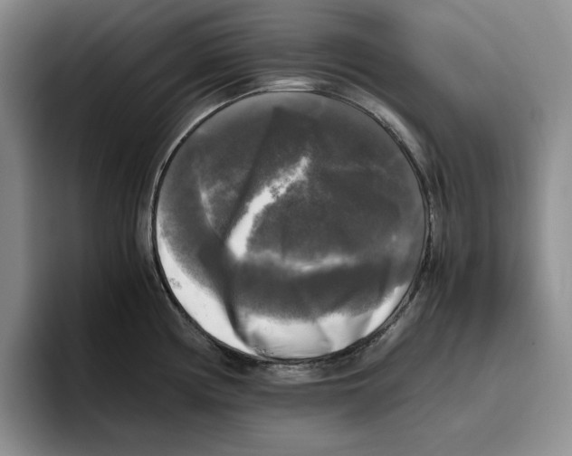 X0000096401194200802211157