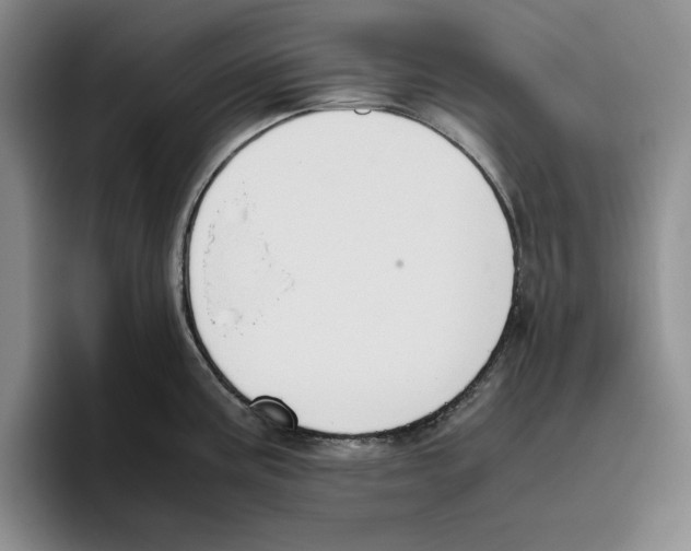 X0000096401195200802211157