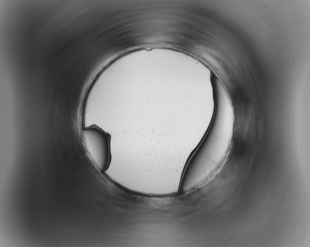 X0000096401196200802211157