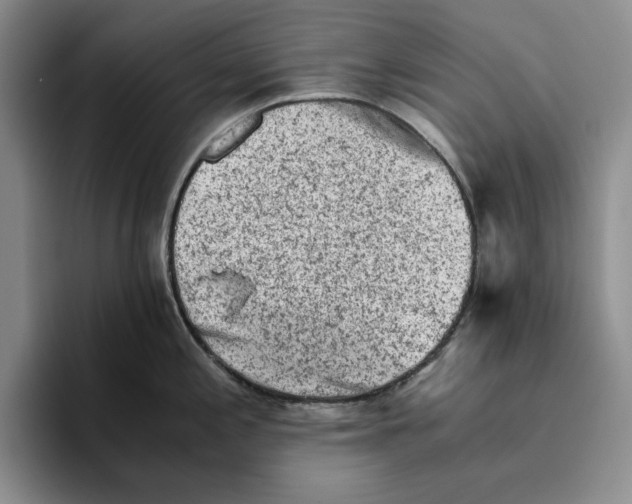 X0000096401197200802211157