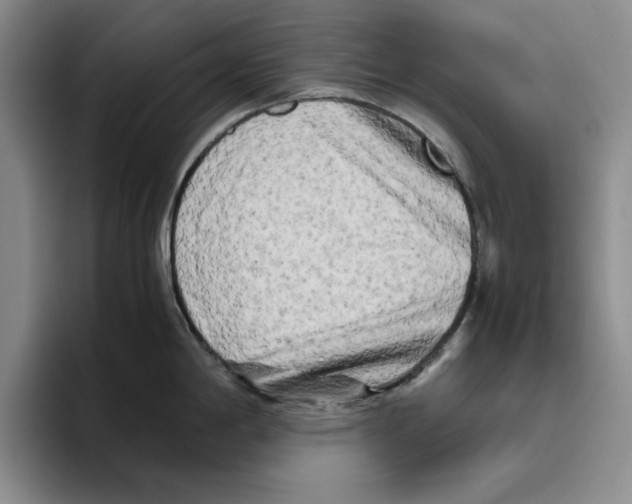 X0000096401198200802211157