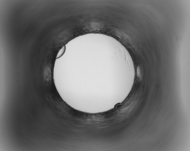 X0000096401203200802211156