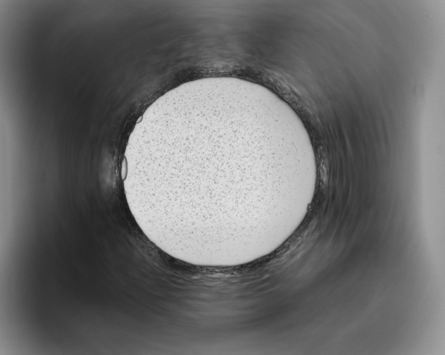 X0000096401204200802211156