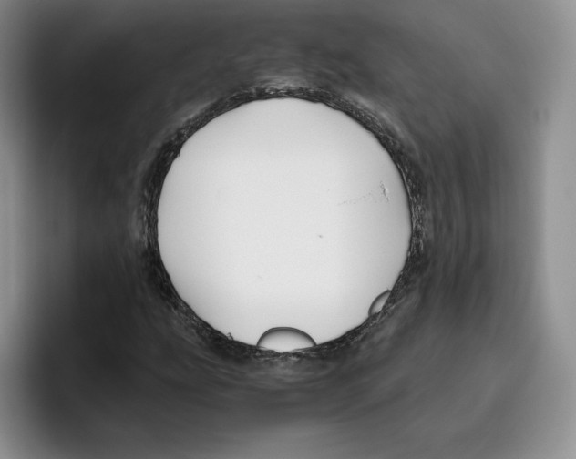 X0000096401207200802211156