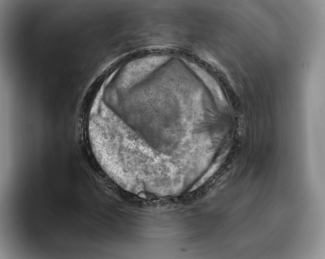 X0000096401208200802211156
