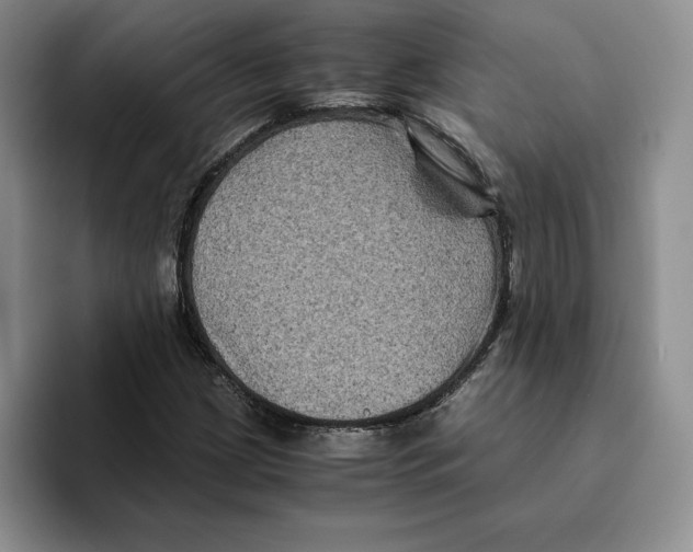 X0000096401209200802211156