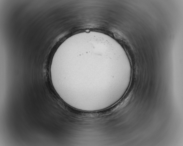 X0000096401210200802211156