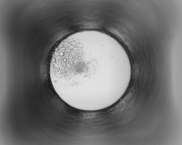 X0000096401211200802211156