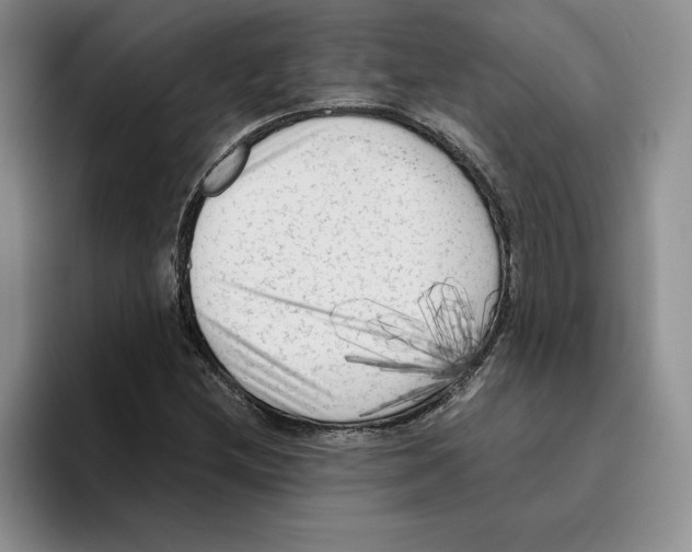 X0000096401212200802211156