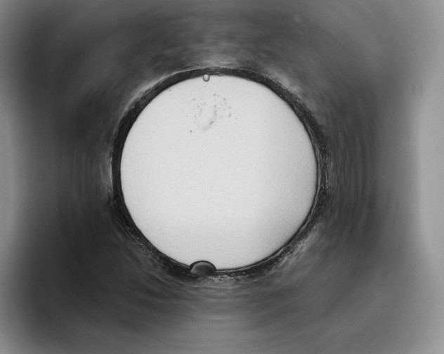 X0000096401214200802211156