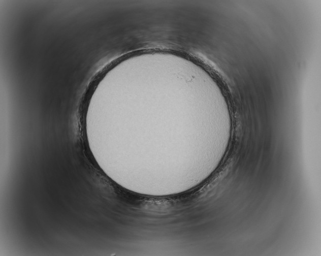 X0000096401215200802211156