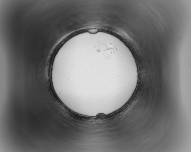 X0000096401216200802211156